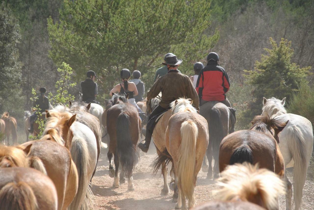 La Rabasse De Gallinette Aups Εξωτερικό φωτογραφία