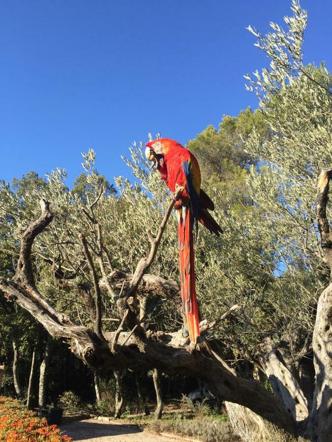 La Rabasse De Gallinette Aups Εξωτερικό φωτογραφία