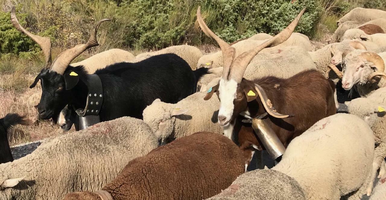 La Rabasse De Gallinette Aups Εξωτερικό φωτογραφία